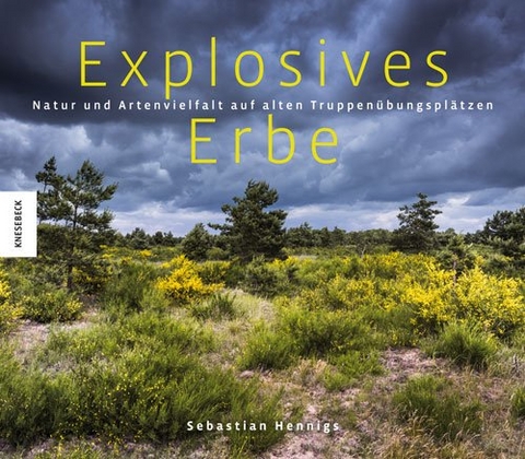 Explosives Erbe - Sebastian Hennigs