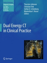 Dual Energy CT in Clinical Practice - 