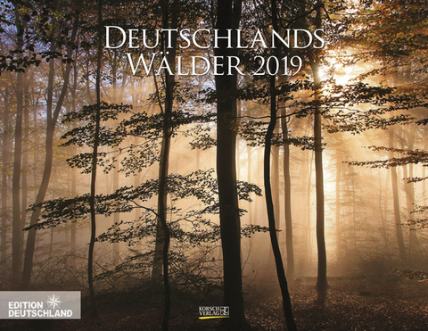 Deutschlands Wälder 216219 2019