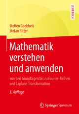 Mathematik verstehen und anwenden - Steffen Goebbels, Stefan Ritter