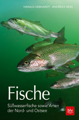 Fische - Gebhardt, Harald; Ness, Andreas