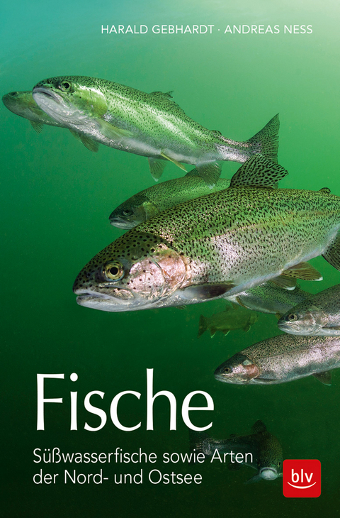 Fische - Harald Gebhardt, Andreas Ness