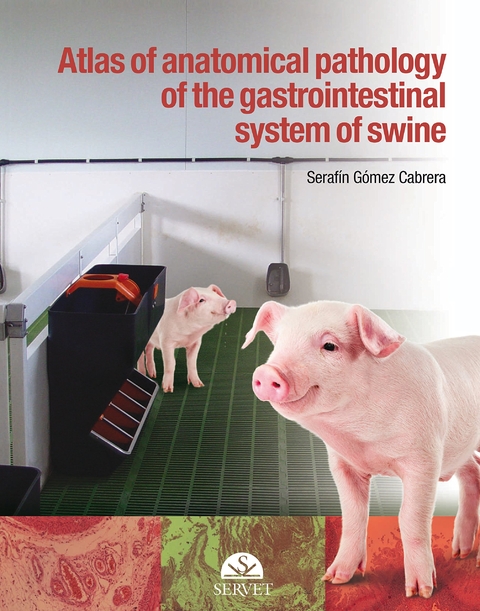 Atlas of anatomical pathology of the gastrointestinal system of swine - Serafín Gómez Cabrera