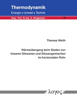 Wärmeübergang beim Sieden von linearen Siloxanen und Siloxangemischen im horizontalen Rohr - Theresa Weith