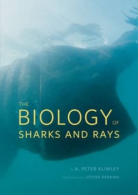 Biology of Sharks and Rays -  A. Peter Klimley