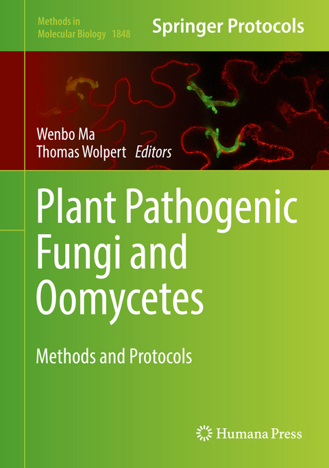 Plant Pathogenic Fungi and Oomycetes - 