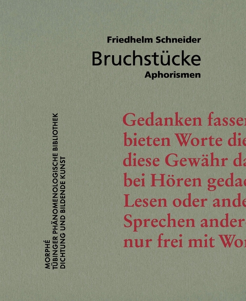 Bruchstücke - Friedhelm Schneider