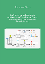 Aufbereitung biogener und reststoffbasierter Gase: Untersuchung der trockenen Reformierung - Torsten Birth