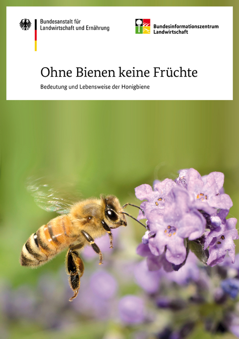 Ohne Bienen keine Früchte - Otto Boecking, Werner Von Der Ohe