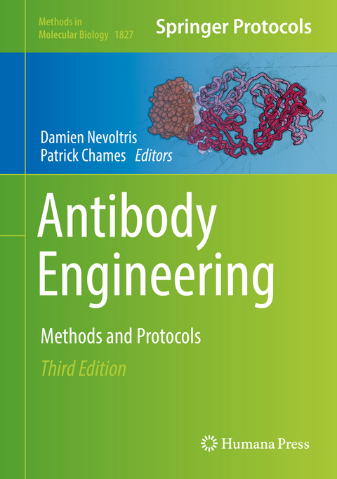 Antibody Engineering - 