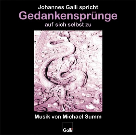 Gedankensprünge auf sich selbst zu (CD 1) - Johannes Galli