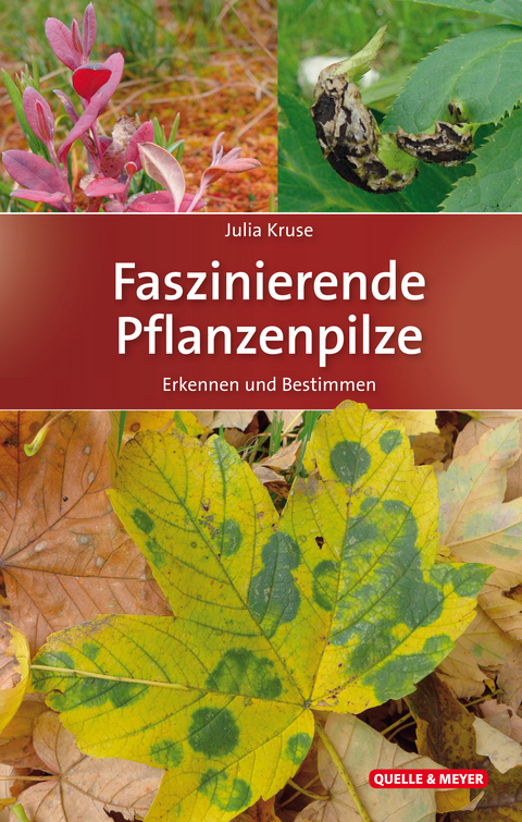 Faszinierende Pflanzenpilze - Julia Kruse