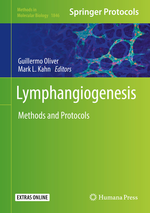 Lymphangiogenesis - 