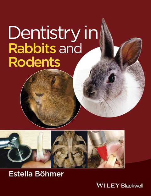 Dentistry in Rabbits and Rodents - Estella Boehmer