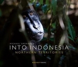 Into Indonesia - Michael Grünwald