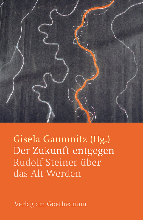 Der Zukunft entgegen - Gisela Gaumnitz