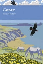 Gower -  Jonathan Mullard