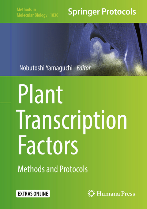 Plant Transcription Factors - 