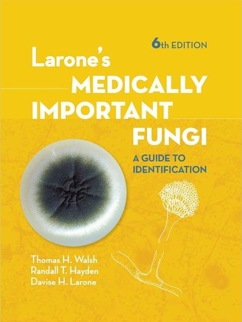 Larone's Medically Important Fungi - Tom Walsh, Randall Hayden, Davise Larone