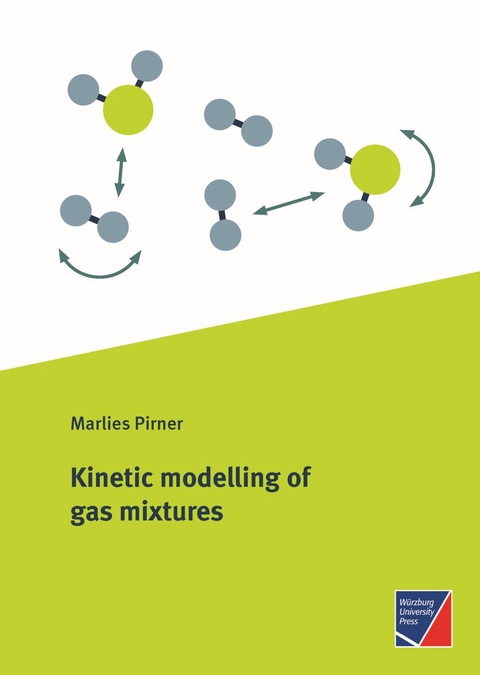 Kinetic modelling of gas mixtures - Marlies Pirner