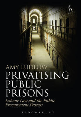 Privatising Public Prisons -  Amy Ludlow