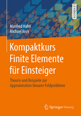 Kompaktkurs Finite Elemente für Einsteiger - Manfred Hahn, Michael Reck