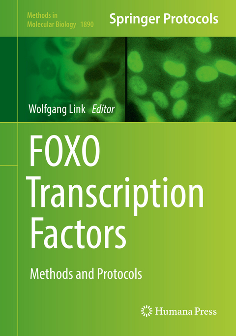 FOXO Transcription Factors - 