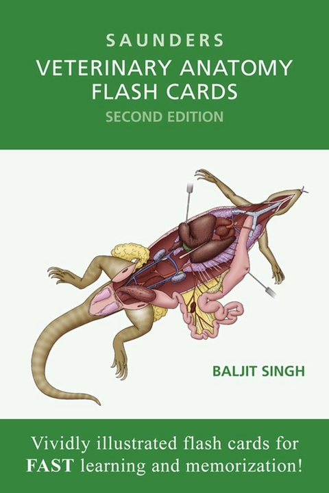 Veterinary Anatomy Flash Cards -- E-Book