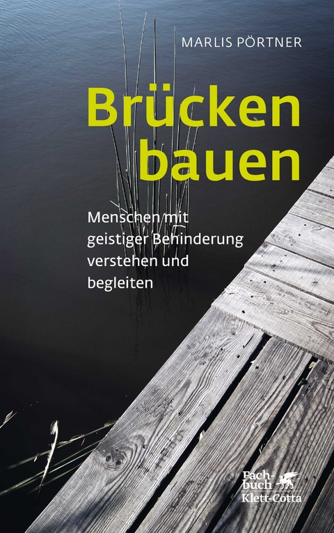 Brücken bauen (Konzepte der Humanwissenschaften) - Marlis Pörtner