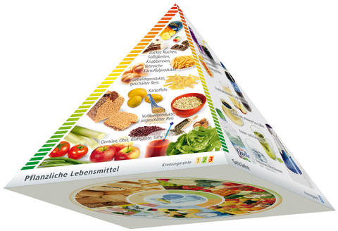 Dreidimensionale DGE-Lebensmittelpyramide