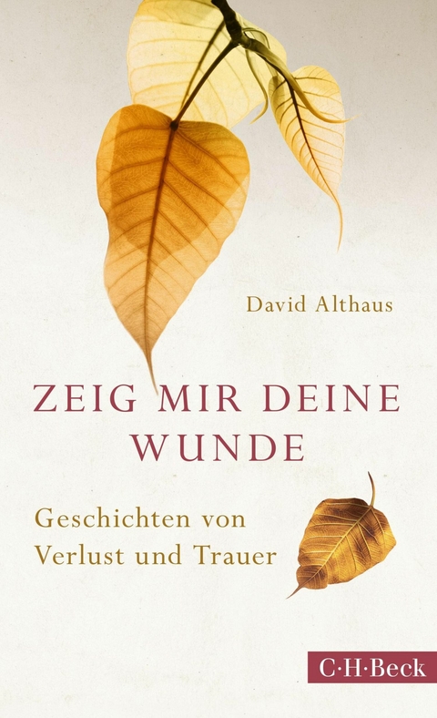 Zeig mir deine Wunde - David Althaus