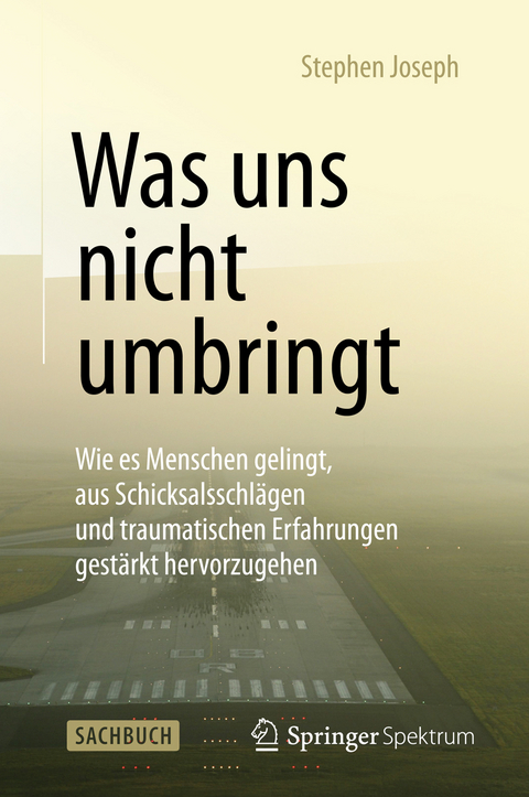 Was uns nicht umbringt - Stephen Joseph