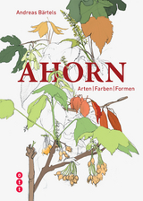 Ahorn - Andreas Bärtels