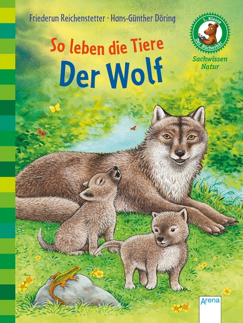 Der Bücherbär. Sachwissen für Erstleser / So leben die Tiere. Der Wolf - Friederun Reichenstetter