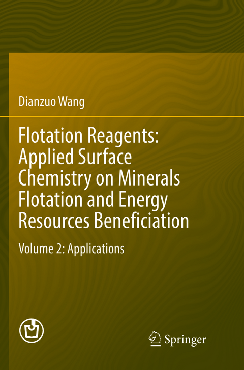 Flotation Reagents: Applied Surface Chemistry on Minerals Flotation and Energy Resources Beneficiation - Dianzuo Wang