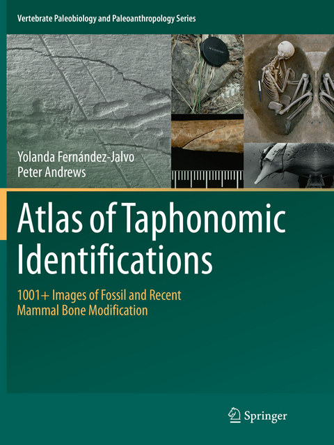 Atlas of Taphonomic Identifications - Yolanda Fernandez-Jalvo, Peter Andrews