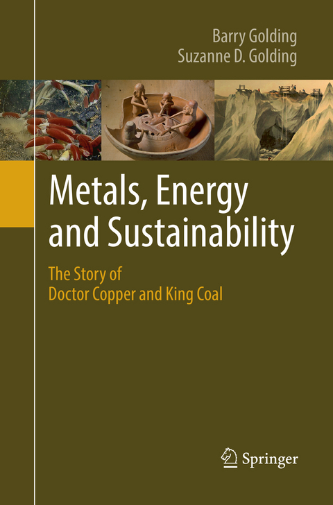 Metals, Energy and Sustainability - Barry Golding, Suzanne D. Golding