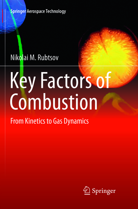 Key Factors of Combustion - Nikolai M. Rubtsov