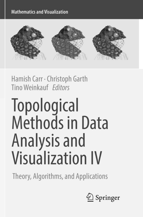 Topological Methods in Data Analysis and Visualization IV - 