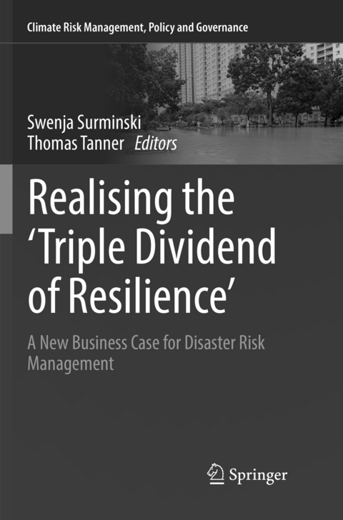 Realising the 'Triple Dividend of Resilience' - 