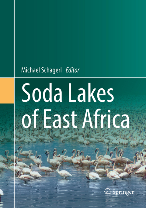 Soda Lakes of East Africa - 