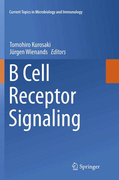 B Cell Receptor Signaling - 