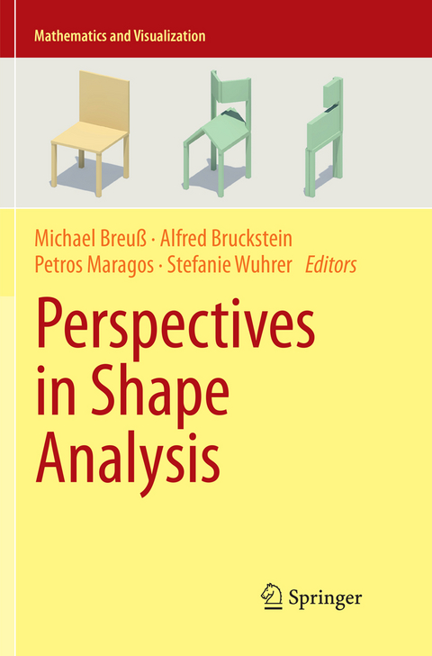 Perspectives in Shape Analysis - 