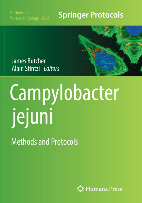 Campylobacter jejuni - 