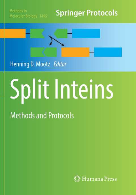 Split Inteins - 