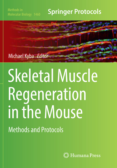 Skeletal Muscle Regeneration in the Mouse - 