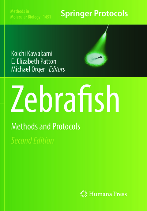 Zebrafish - 