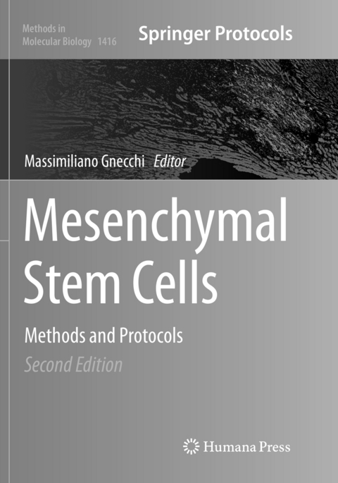 Mesenchymal Stem Cells - 