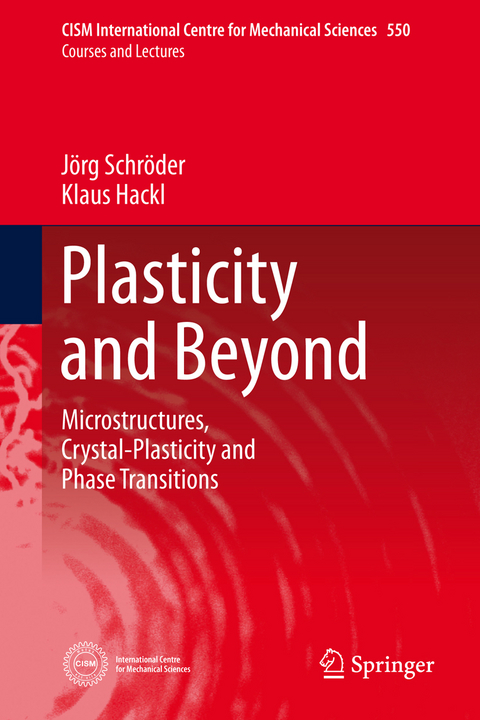 Plasticity and Beyond - Jörg Schröder, Klaus Hackl