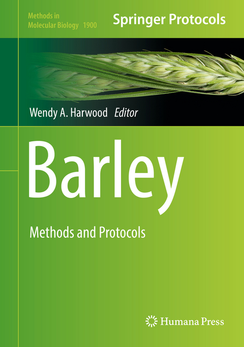 Barley - 